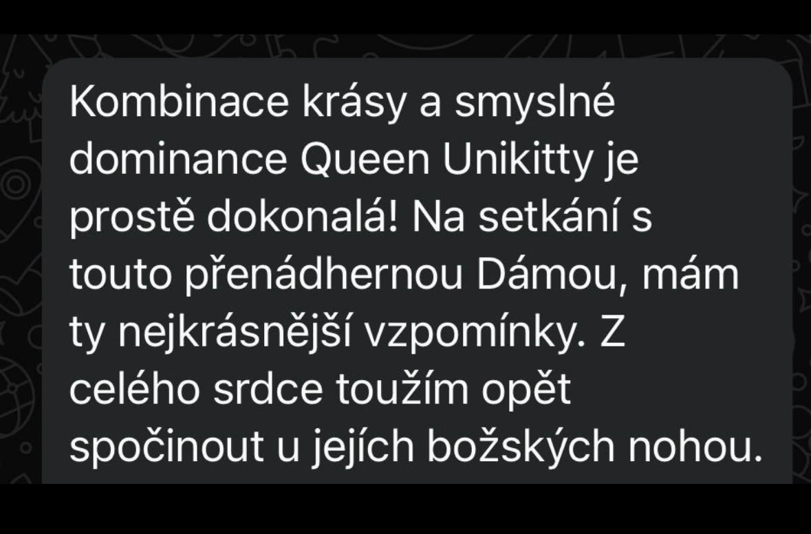 Kombinace krásy a smyslné dominance Queen Unikitty je prostě dokonalá! Na setkání s touto přenádhernou Dámou, mám ty nejkrásnější vzpomínky. Z celého srdce toužím opět spočinout u jejích božských nohou.