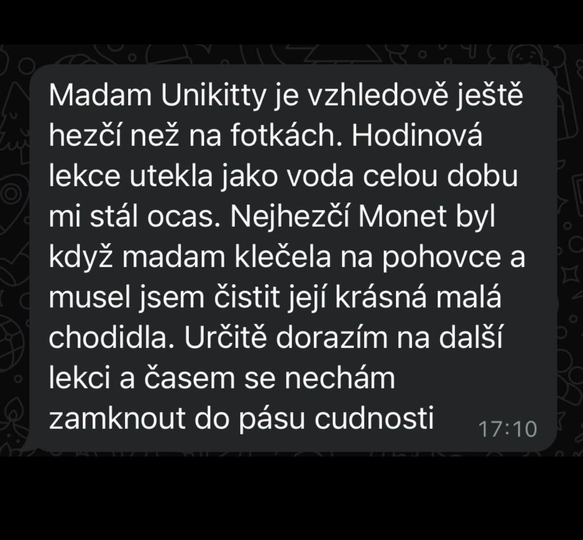 Madam Unikitty je vzhledově ještě hezčí než na fotkách. Hodinová lekce utekla jako voda celou dobu mi stál ocas. Nejhezčí Monet byl když madam klečela na pohovce a musel jsem čistit její krásná malá chodidla. Určitě dorazím na další lekci a časem se nechám zamknout do pásu cudnosti